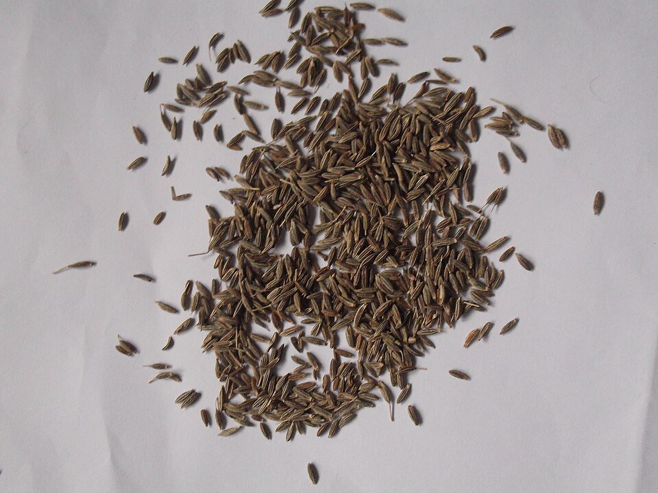 Cumin seeds